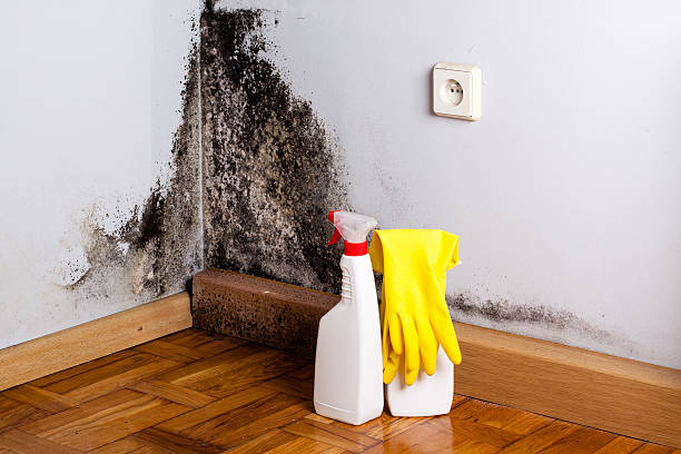 Mold Remediation for Rental Properties in Canyon Lake, TX